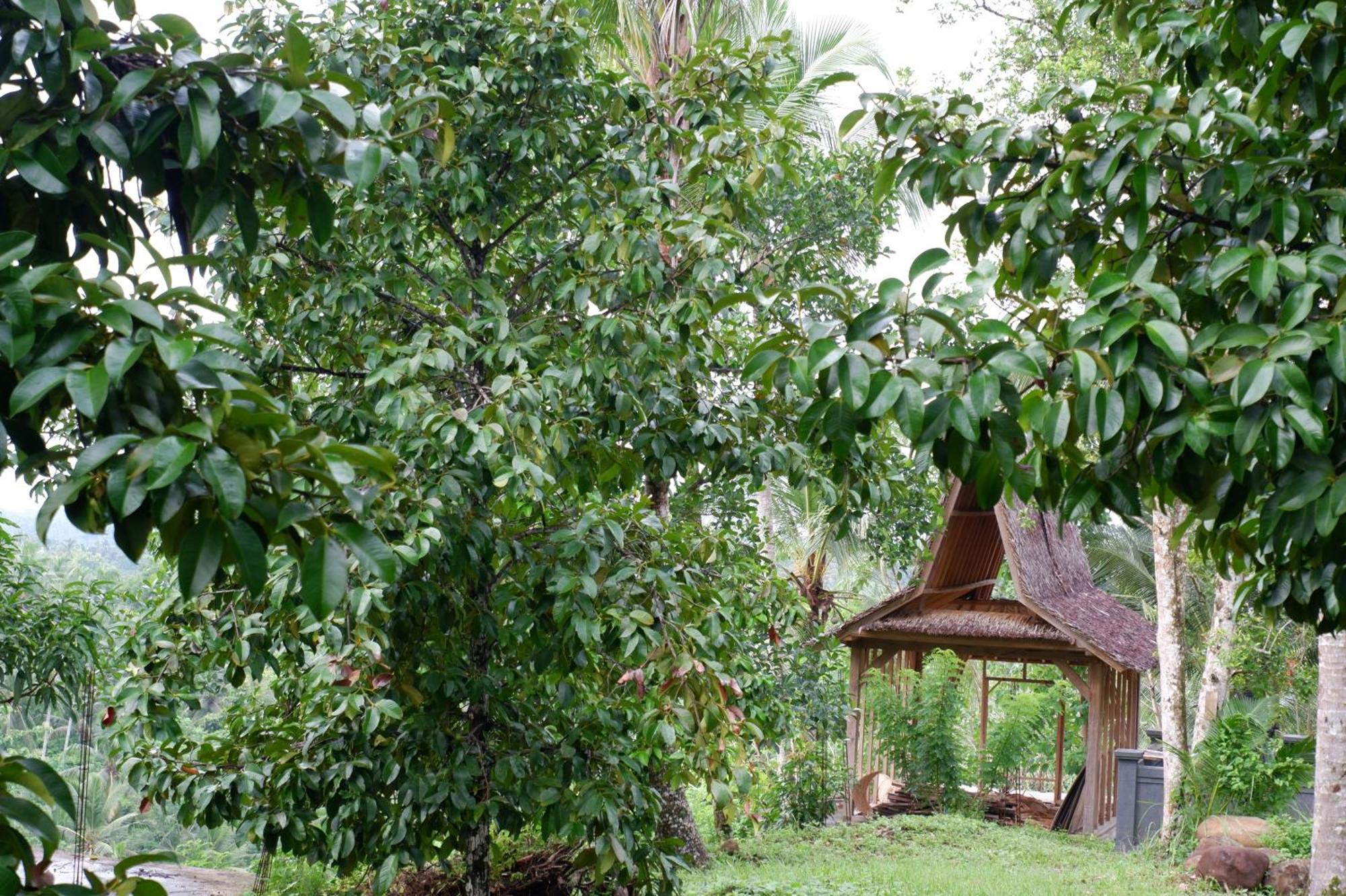 Aum Resort Pulukan Exterior photo